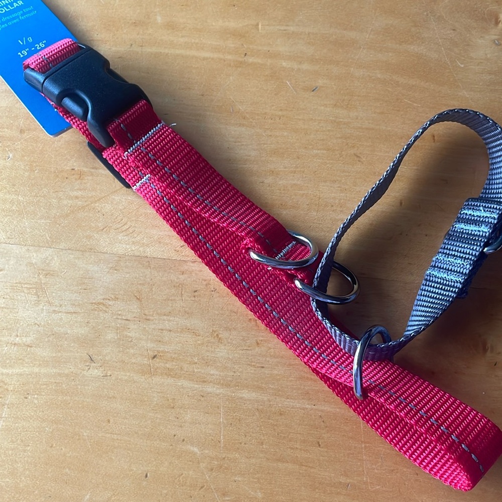 RC Pets martingale clip collar 19”-26” (large)